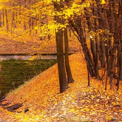 rezashali06's profile picture. غش hh