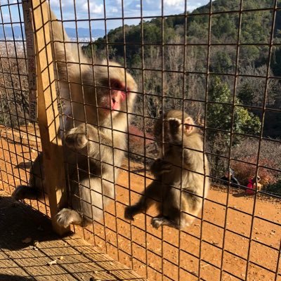 toushikakedashi's profile picture. 2008年に投資開始。優待・配当金生活を夢見るサラリーマン。