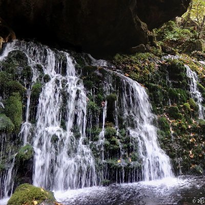 9I0joPtD4FnARvv's profile picture. ゴミはゴミ箱に。