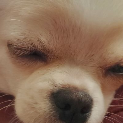 hohukuzenshin5's profile picture. 名前変えてみたー
このアカウントの使い方は自己啓発にしよーと思ってます。
仕事はコンサルタントっていうやつです。
俗に言う何でも屋です。
基本的に暇です。
仕事なんだかプライベートなんだか判断つかない生活してます。
投資系のアカウントを半信半疑で見るのが好きです。