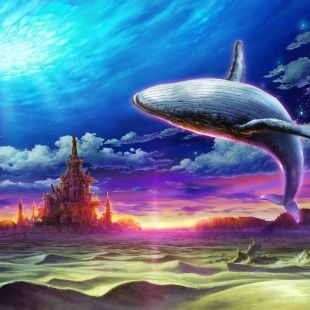 くじら雲 くじら雲｜ikayn