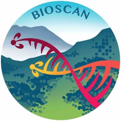 The UK BIOSCAN project is using DNA barcoding to study species diversity and interactions for 1 million insects at 100 sites in the UK over the next five years