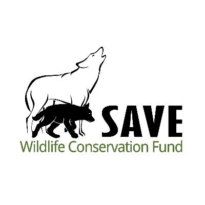 🐺 Wolf project | Ecology 🌱 The official account of SAVE Wildlife Foundation PL.
Help us: https://t.co/O5Azcz59pi Pomóż: https://t.co/abUxEeKb6T