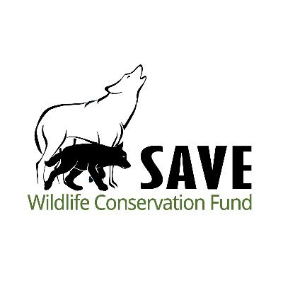 🐺  Wolf project | Ecology 🌱 The official account of SAVE Wildlife Foundation PL. 
Help us: https://t.co/O5Azcz59pi Pomóż: https://t.co/abUxEeKb6T