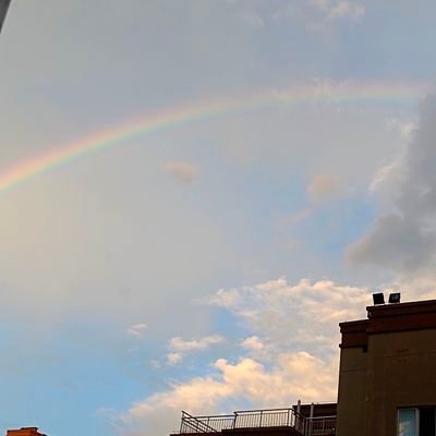 zhangyu93179138's profile picture. 随便