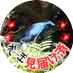 異中川図@暫く鍵かけます (@inakakawazugeko) Twitter profile photo 異中川図@暫く鍵かけます (@inakakawazugeko) Twitter profile photo