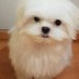 Maytemq (@maytemq73) Twitter profile photo Maytemq (@maytemq73) Twitter profile photo