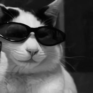 bLUIyiVIqhT76Mk's profile picture. 