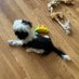 Shiiii tzu (@shihtzu56060644) Twitter profile photo Shiiii tzu (@shihtzu56060644) Twitter profile photo