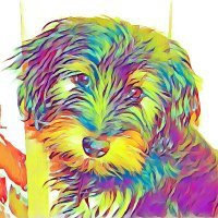digital art, photography, NFT art
https://t.co/XVLStMVZGK