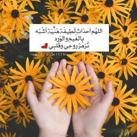abeer aldossary (@abeeraldossar10) 's Twitter Profile