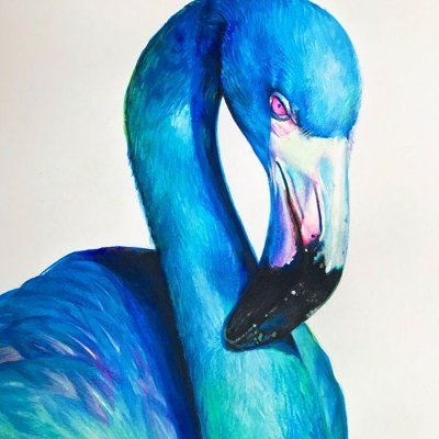 BlueFlamingos7 Profile Picture