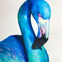 Blue Flamingo(@BlueFlamingos7) 's Twitter Profileg