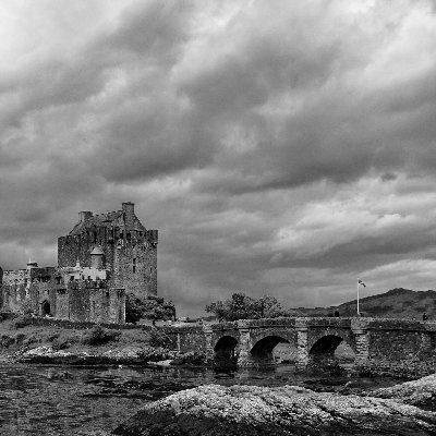 BDADABAT's profile picture. Dad, husband, Scout leader, omnivore of food and information. Retweets do not equal endorsement. Views mine alone. Think for yourself!