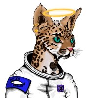 dominic (@thecoinlynx) 's Twitter Profile