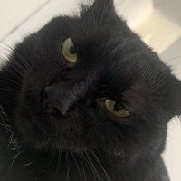 Anastasiia (@an_ravv) 's Twitter Profile