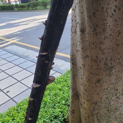 Gamestop/L2 Address:
0x68438371fa1874adF44048DDa2063D96ba67Cc3f
The best thing to do first in the morning is to go right back to sleep.
起床後最棒的第一件事,就是倒頭再睡。