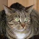 DAVID AUDREY - @audrey_david - Twitter