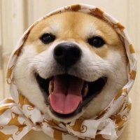酷爱御姐6 (@bosozoku9) 's Twitter Profile