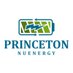 Princeton NuEnergy (@PNE_Cycle) Twitter profile photo