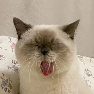 99是玖玖さんのプロフィール画像