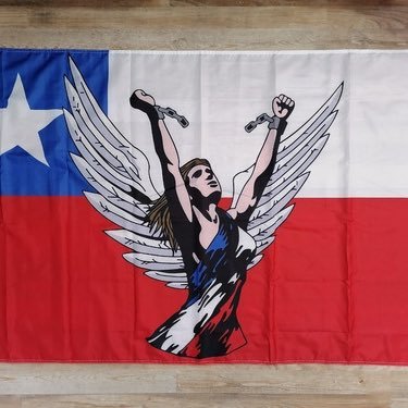 Nalle_temuco's profile picture. Cristiana✝️ PROVIDA💙Chilena🇨🇱de ❤️SIEMPRE POR LA DERECHA