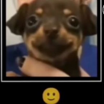 AugustoFbs13's profile picture. 