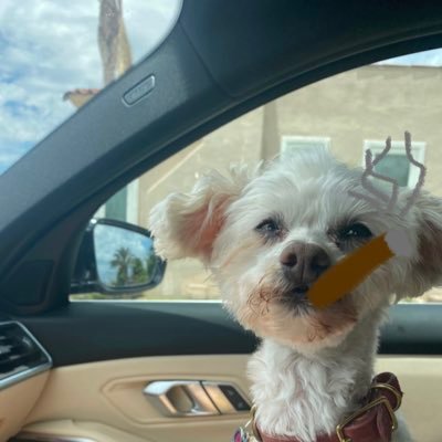 marylou365's profile picture. smoke ash get cash