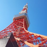 tower to-kyo- (@towerkyo) Twitter profile photo