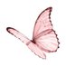 hanan (@hananaimen) Twitter profile photo hanan (@hananaimen) Twitter profile photo