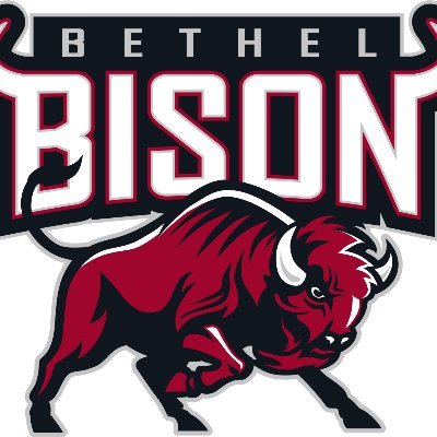 This is the school account for Tyson Lowry.
Bethel High School Athletic Director
GO BISON!
