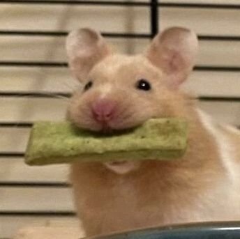 ulanovaworld's profile picture. Режим сенсорной перегрузки