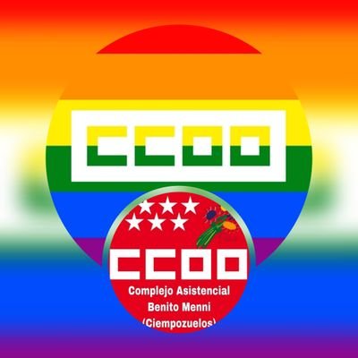 Perfil de la sección sindical de CCOO del Benito Menni en Madrid