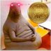 Hoarder of Fine Bitcoins (@thedoganator) Twitter profile photo Hoarder of Fine Bitcoins (@thedoganator) Twitter profile photo