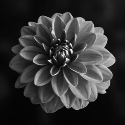 DAHLIA