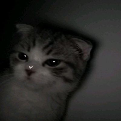 justhere980's profile picture. 🦆+🐰forever 🤍