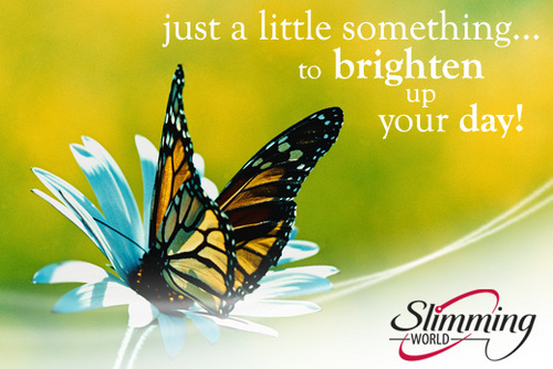 LODGIE31C9HG's profile picture. Senior Development manager for Slimming World -south Coast