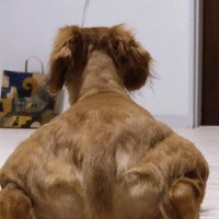 rub (@nzlbur) 's Twitter Profile Photo