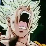 dbz_yellin's profile picture. hooting an hollering