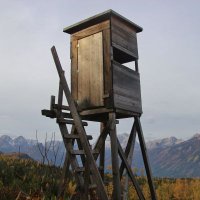 Lovec dividend (@divi_love_c) 's Twitter Profile Photo