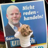 🥝 Sascha Ulbrich 💙(@SaschaUlbrich) 's Twitter Profileg