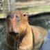 花農丘公園(はなのおかこうえん)北九州市立総合農事センター (@nouji_center) Twitter profile photo 花農丘公園(はなのおかこうえん)北九州市立総合農事センター (@nouji_center) Twitter profile photo