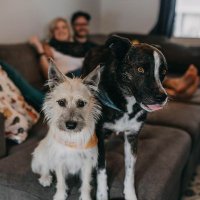 Gritty & Gumbo Banks (@grittyandgumbo) 's Twitter Profile Photo