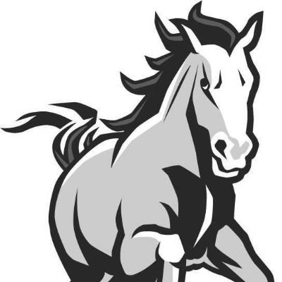 MustangsPHMS Profile Picture