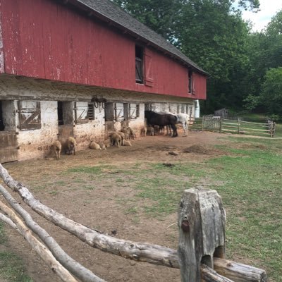 psuAMSTD's profile picture. The American Studies Program at Penn State Harrisburg has been offering the Bachelor's and Master's degrees since 1972 and the Ph.D. since 2008.