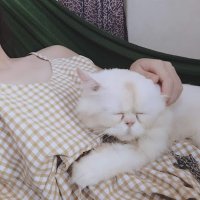 huong huong (@huonghn1511) 's Twitter Profile