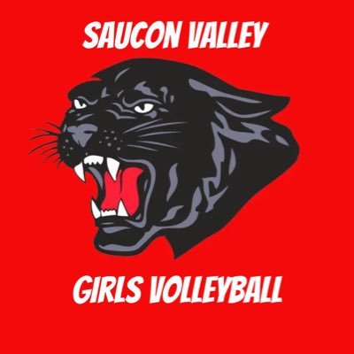 Saucon Valley HS Volleyball