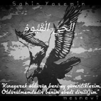 Şahin Yasemin(@yalnz733) 's Twitter Profile Photo