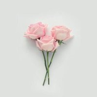 Mariam🍒 (@mariam75863582) Twitter profile photo