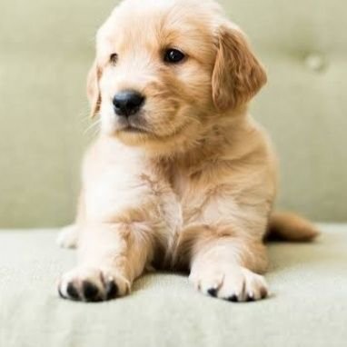 khimmd's profile picture. 